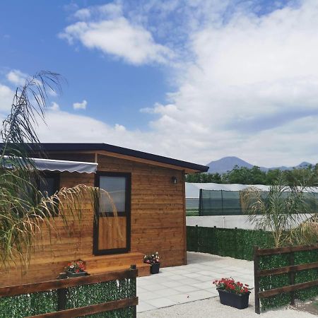 Appartamento Vesuvius Chalet Relax Boscoreale Esterno foto