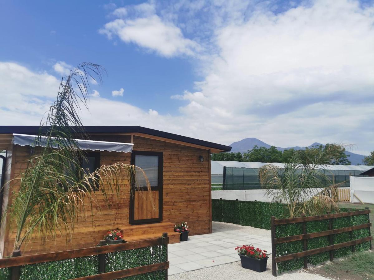 Appartamento Vesuvius Chalet Relax Boscoreale Esterno foto