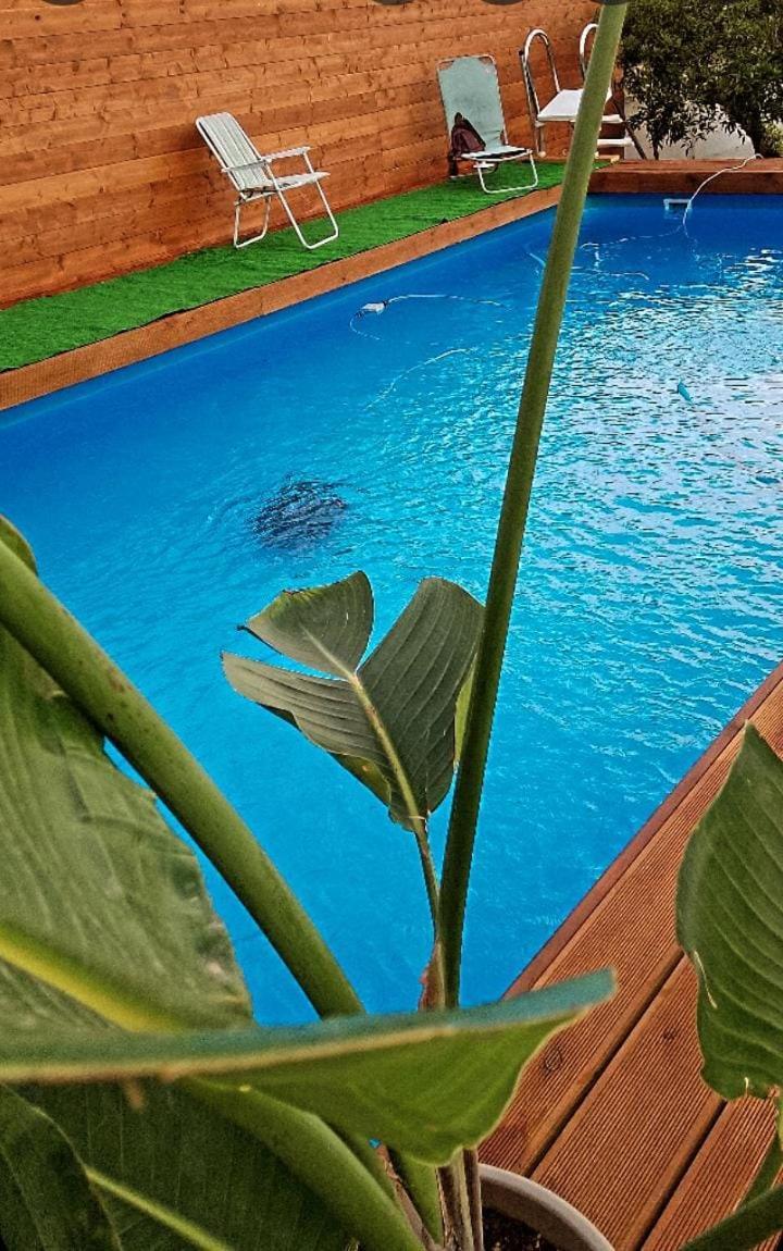Appartamento Vesuvius Chalet Relax Boscoreale Esterno foto